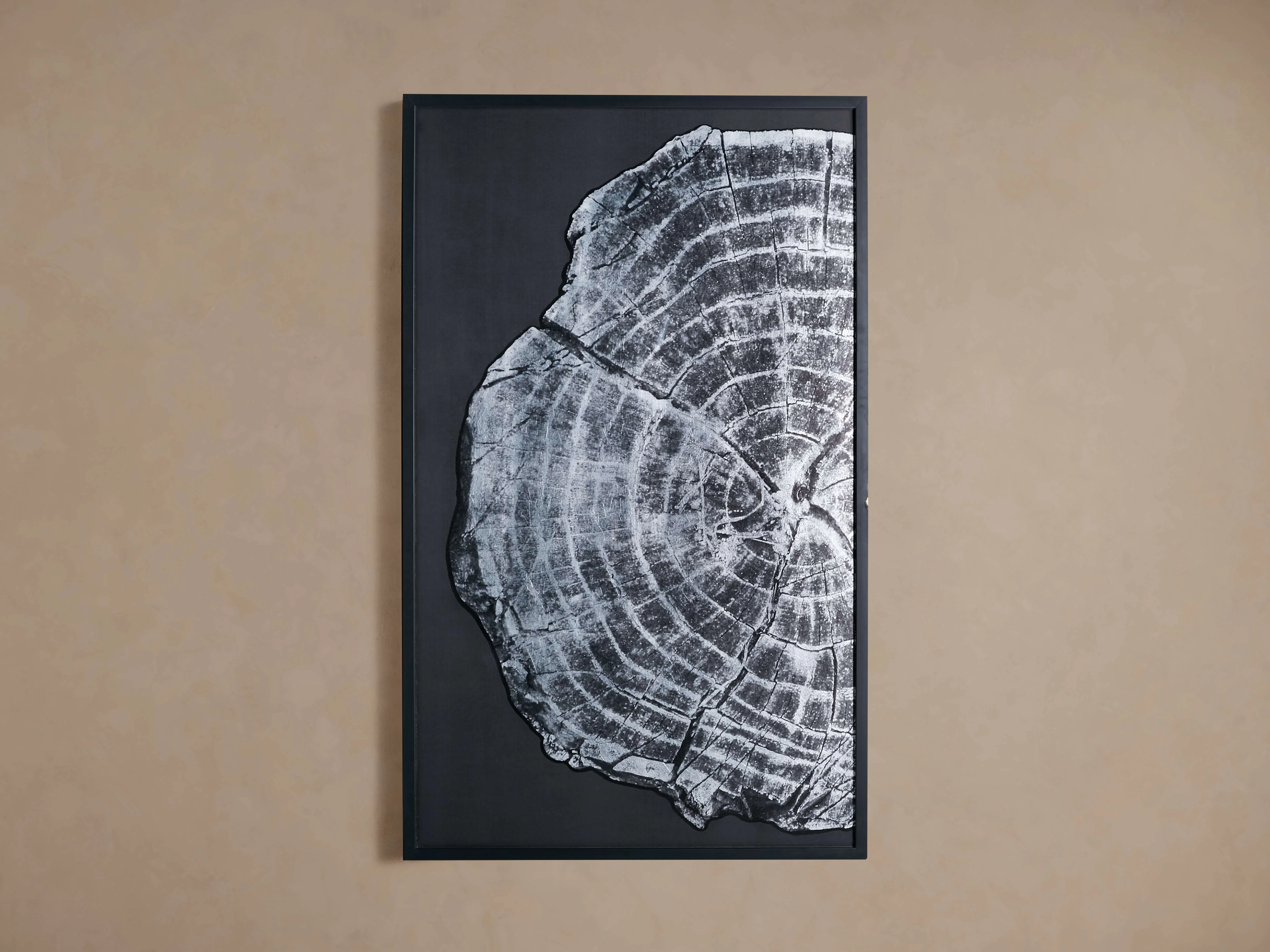 Tree Ring I Framed Print