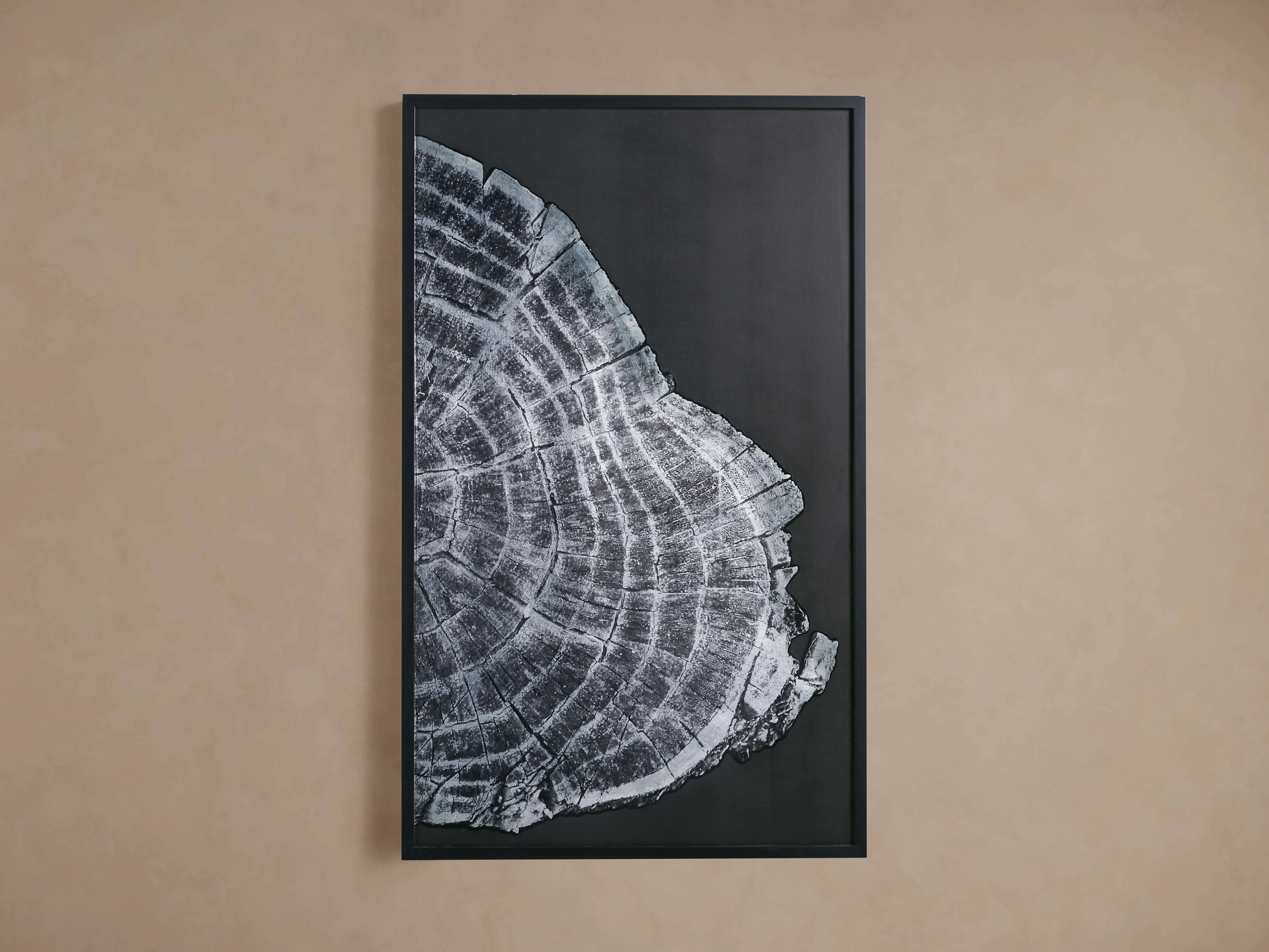 Tree Ring II Framed Print