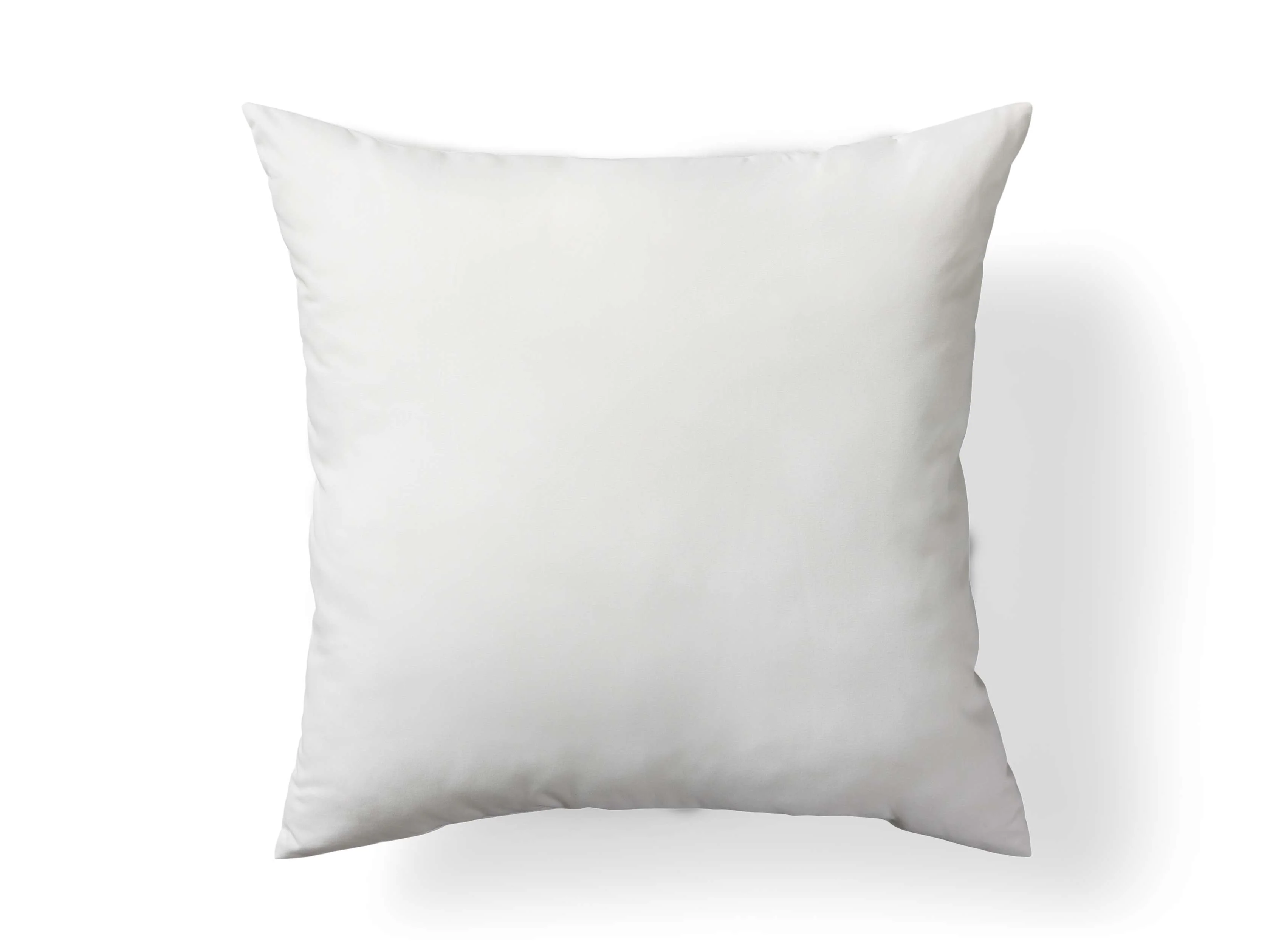 Decorative Floor Pillow Insert