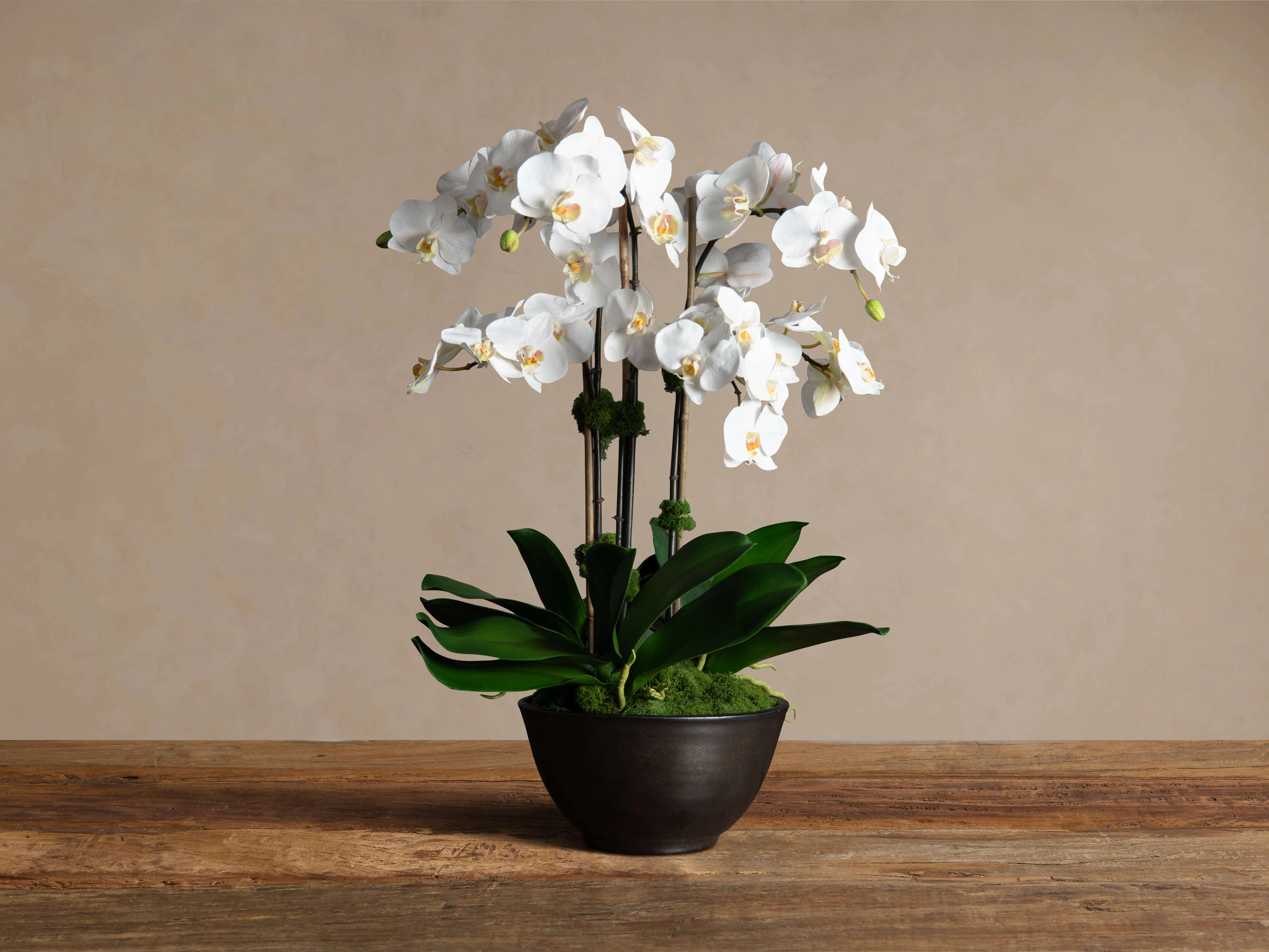 13949-faux-white-orchids-in-bronze-terracotta-bowl-1.webp