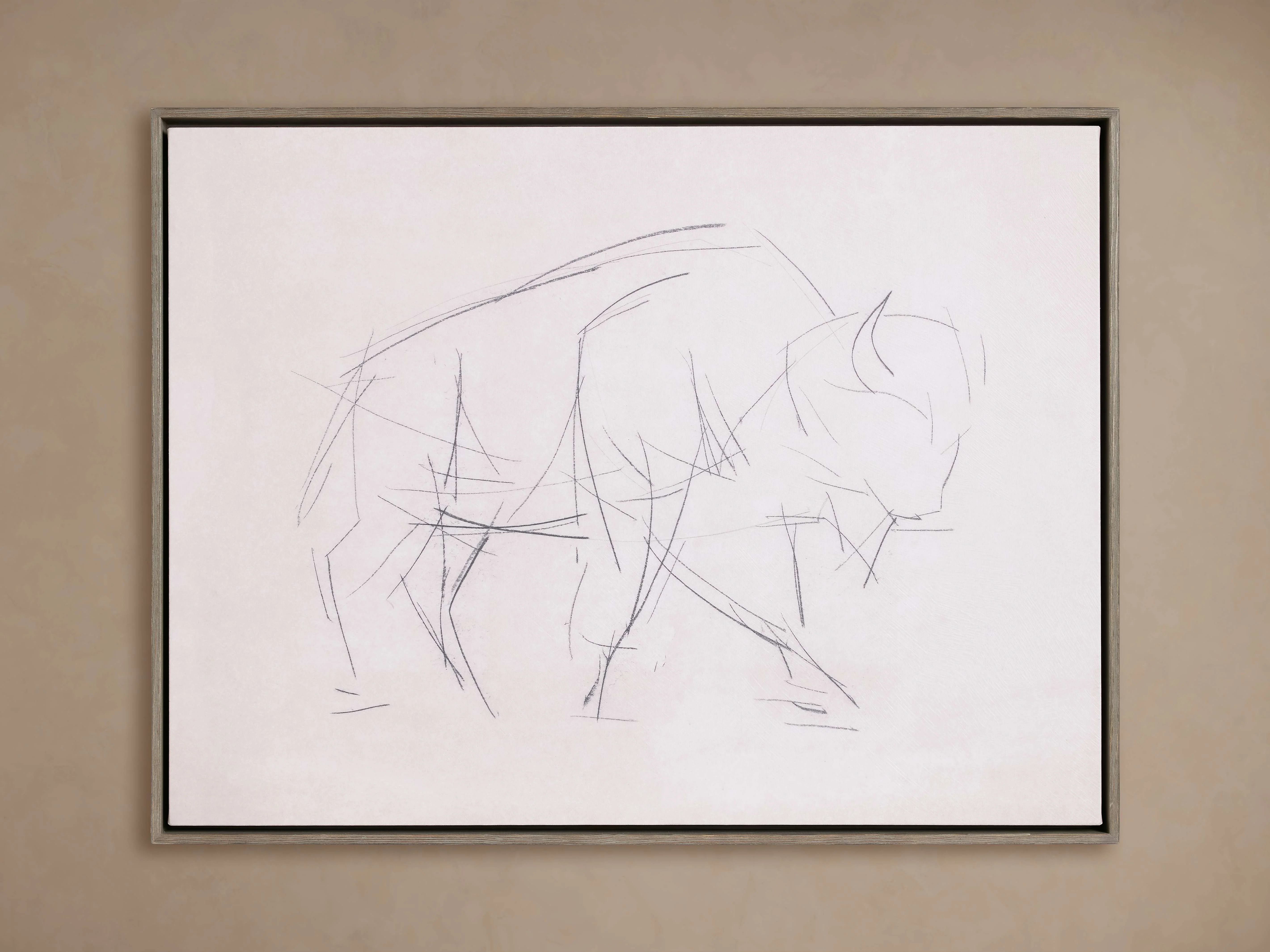 Bison Study Framed Print