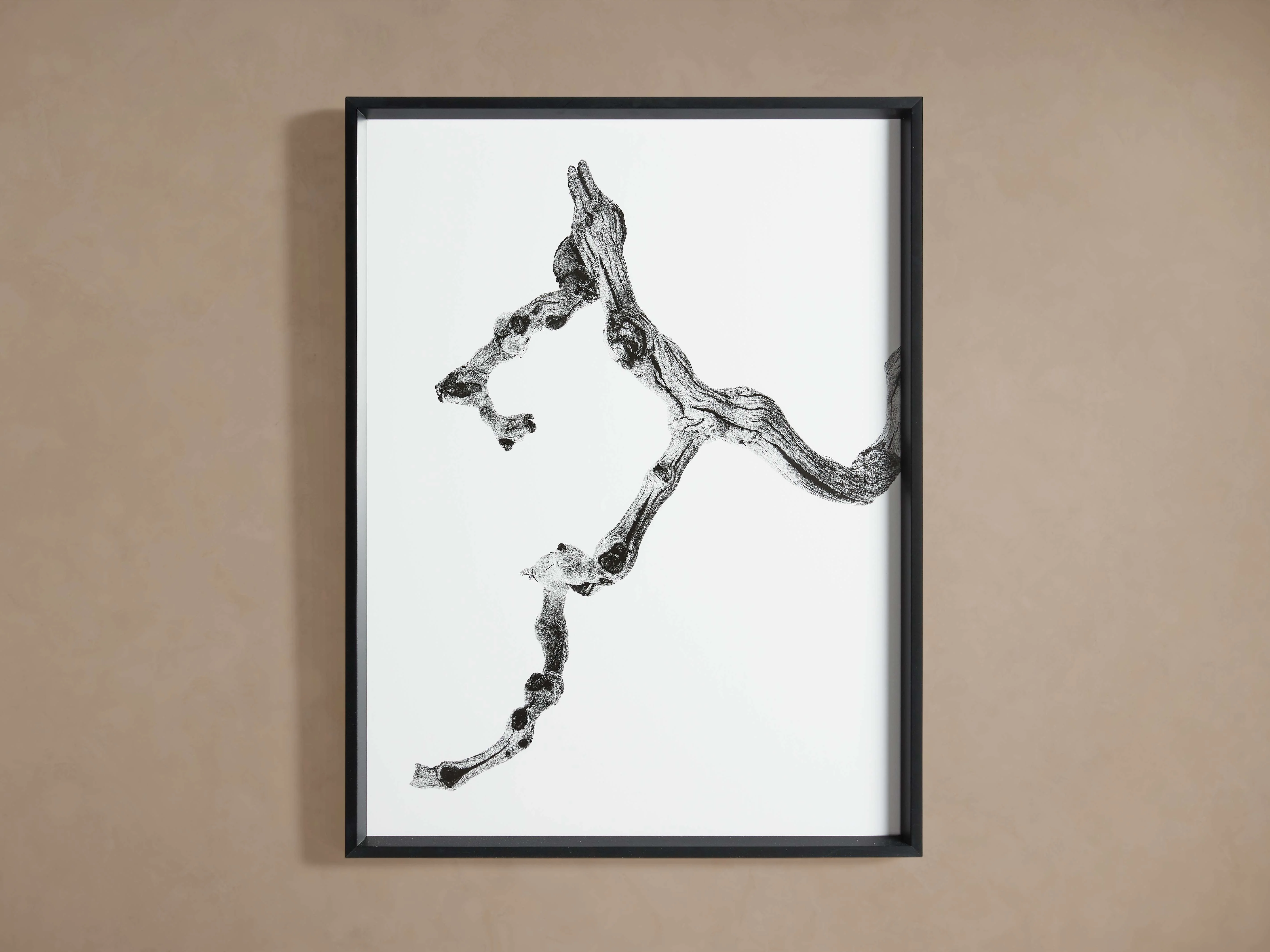 1489-branch-framed-print-set-of-3–1.webp