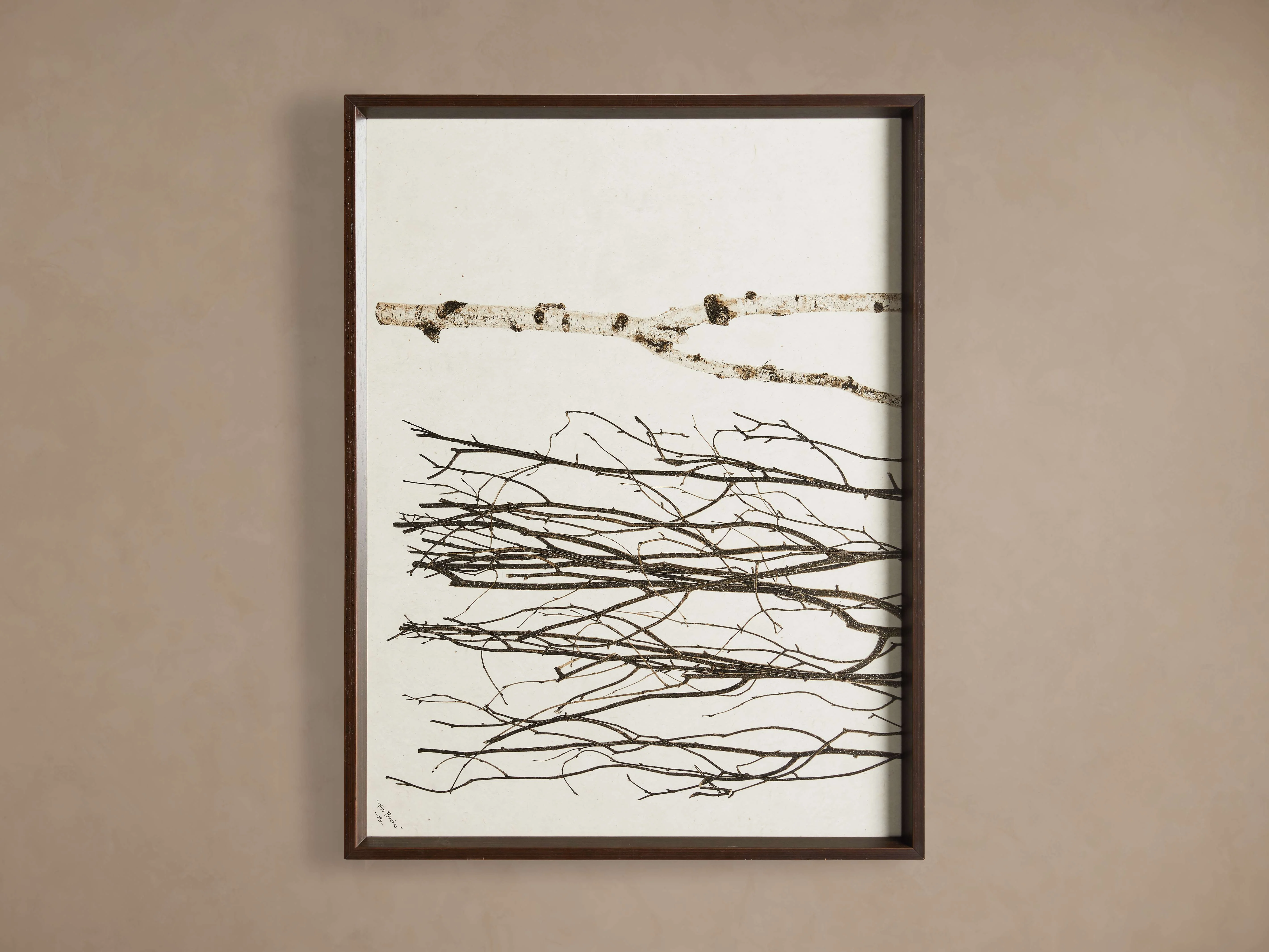 Birch Framed Print (Set of 3)