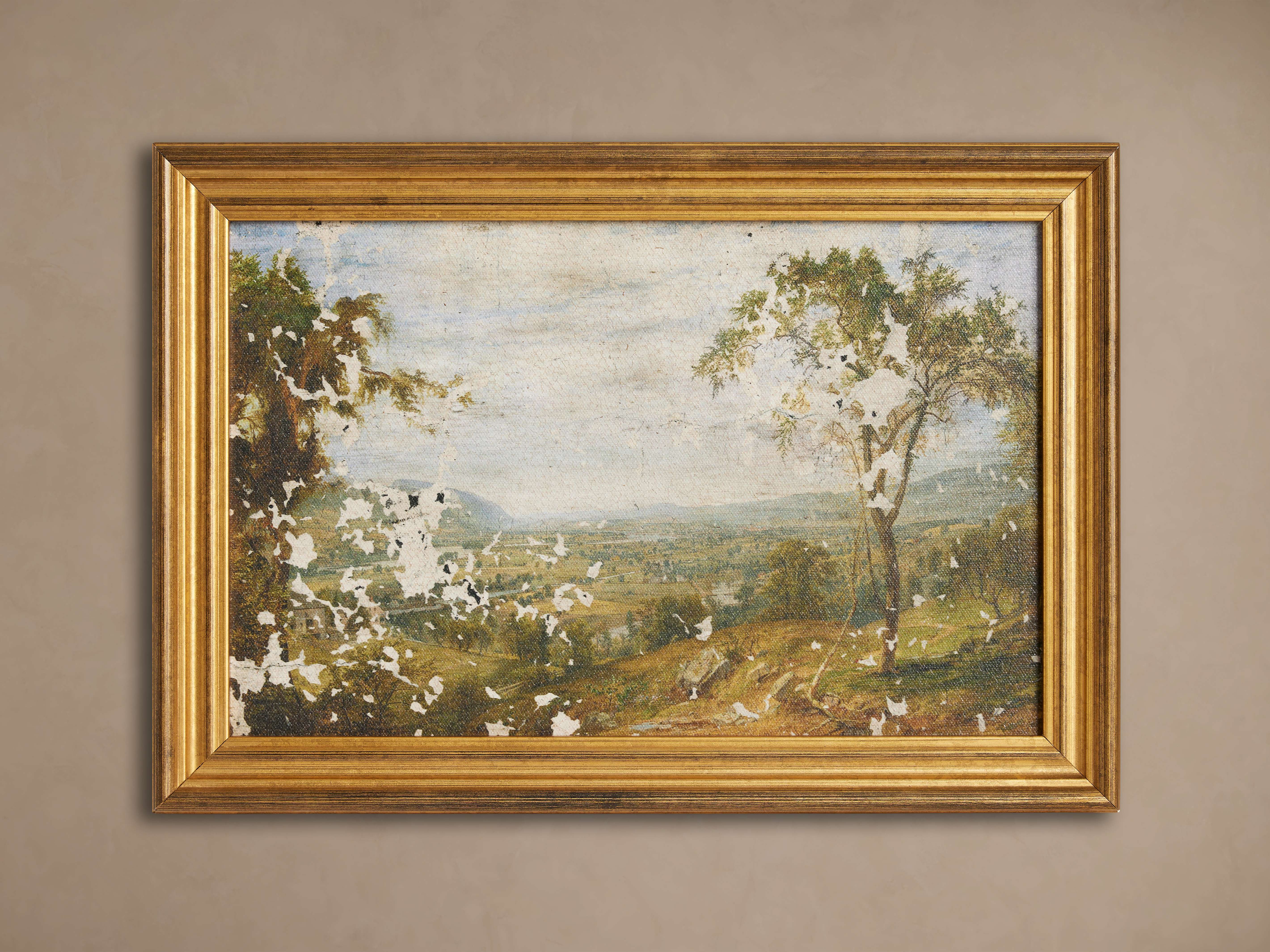 Crackled Countryside Framed Print
