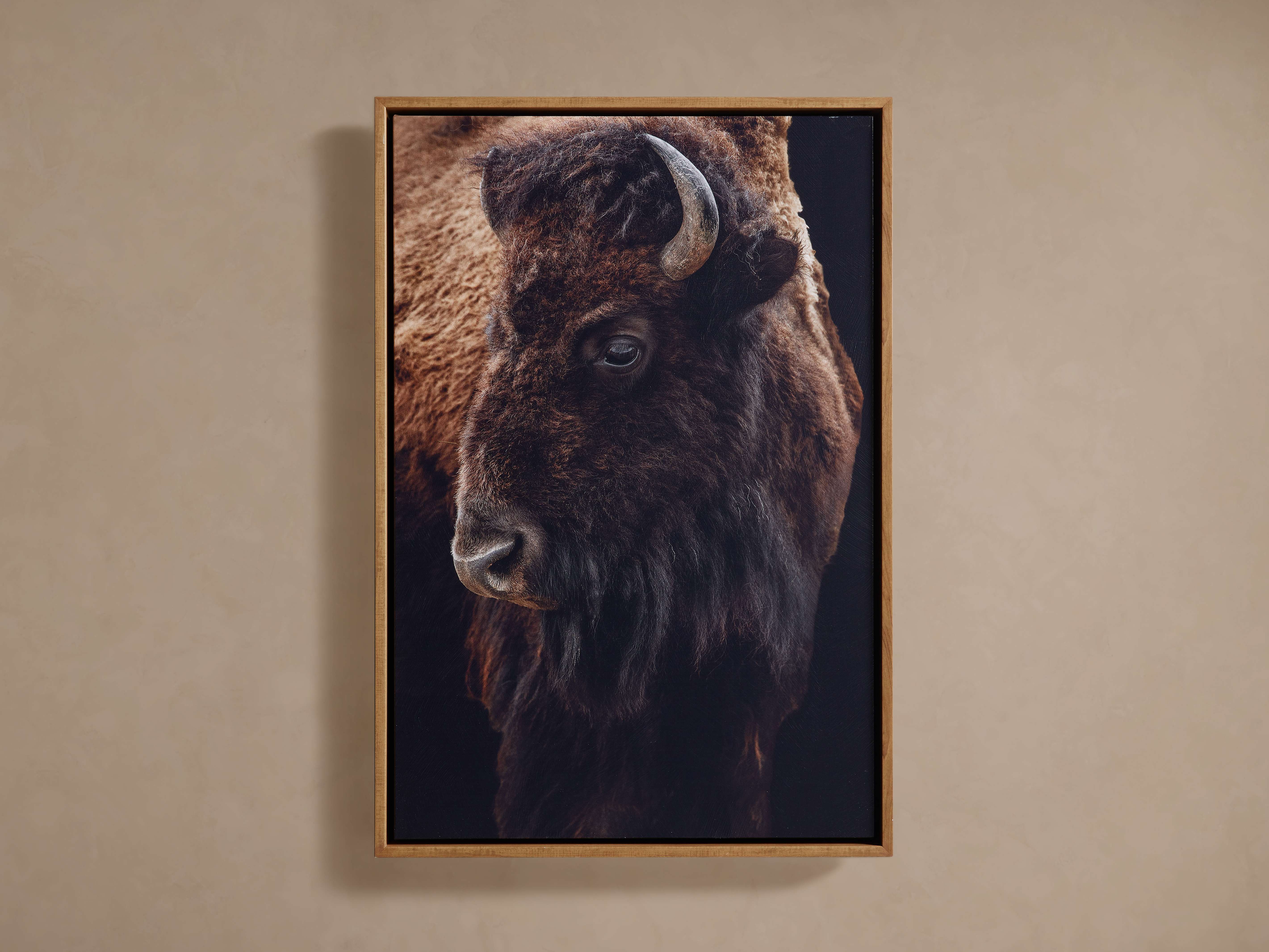 1528-plains-bison-framed-print-1.jpg