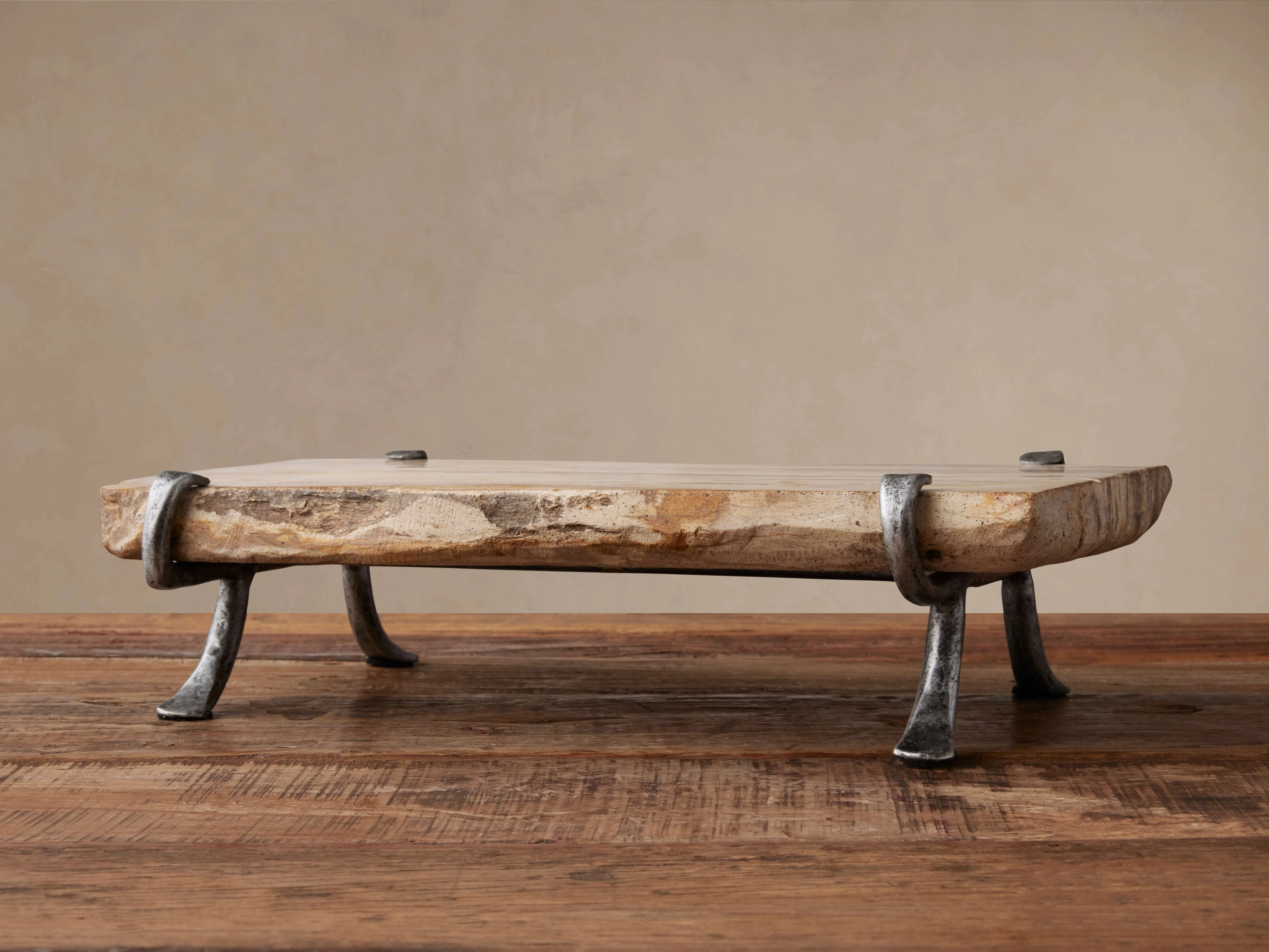 Petrified Wood Serving Board