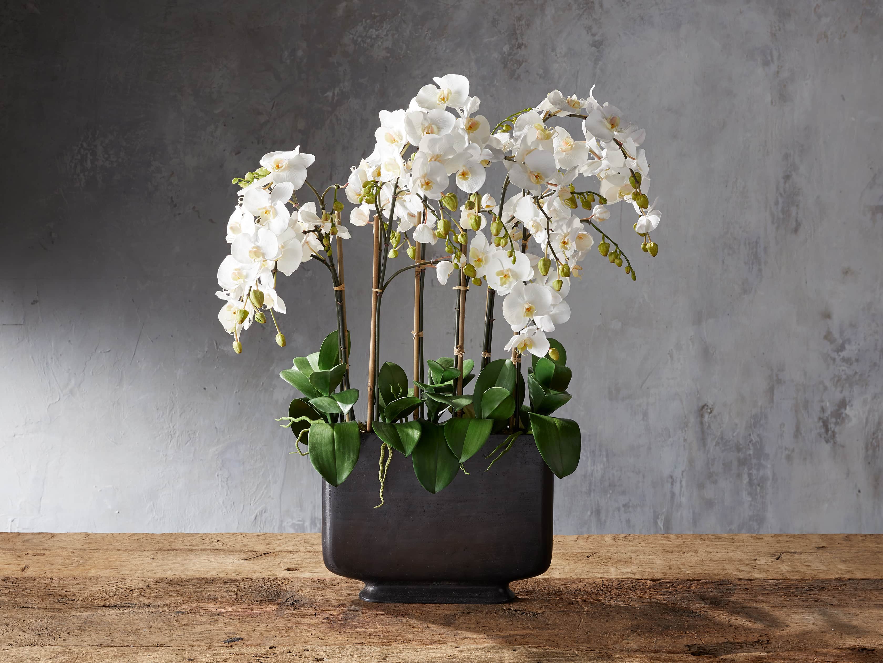 Faux Phalaenopsis in Wide Bronze Vase