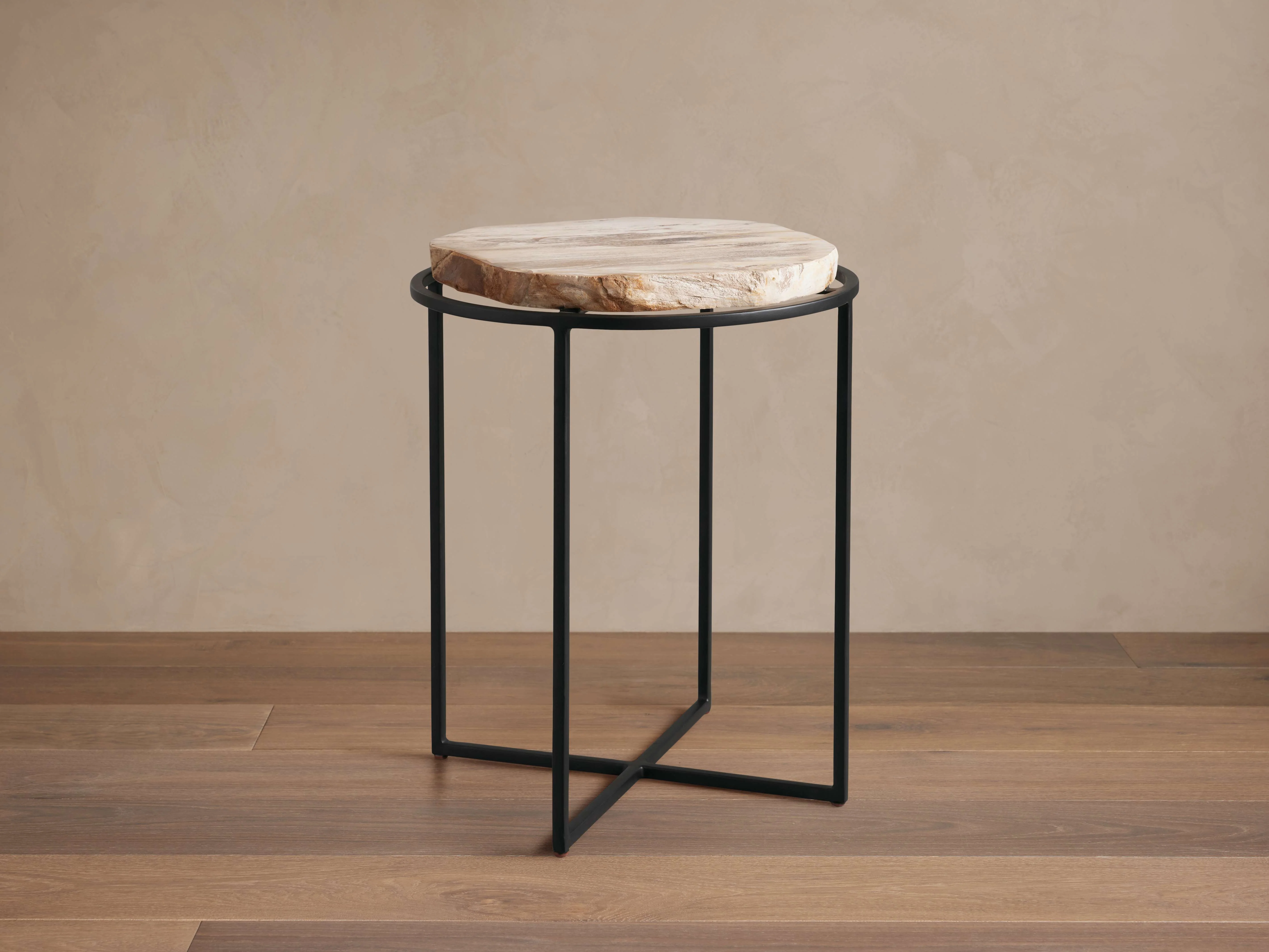 Petrified Side Table