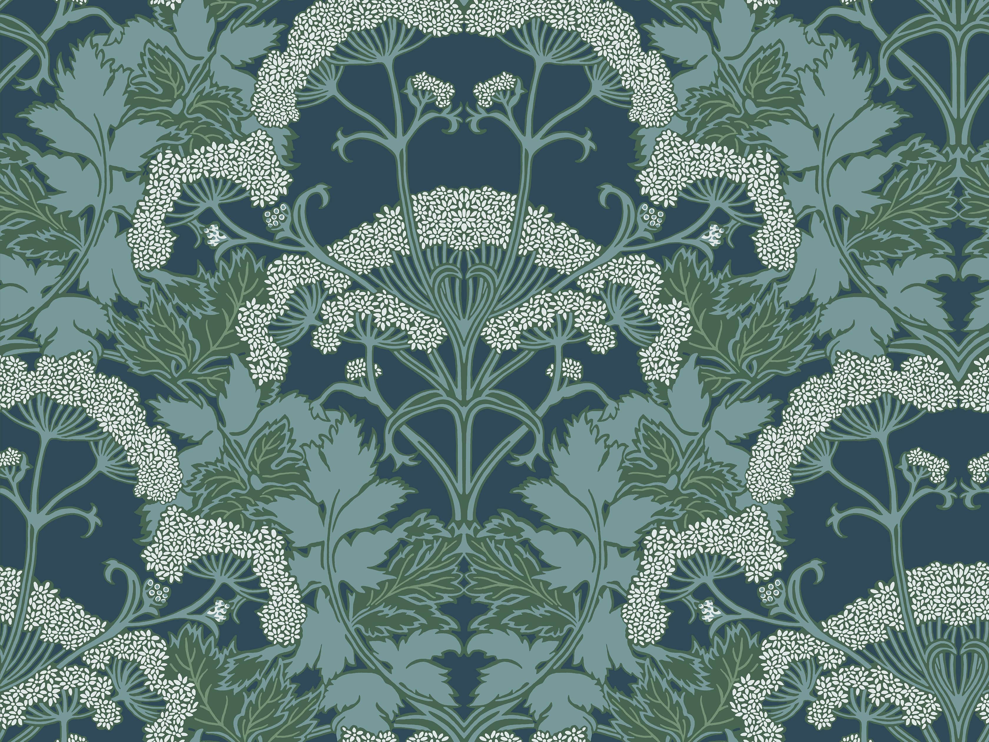 Achillea Wallpaper