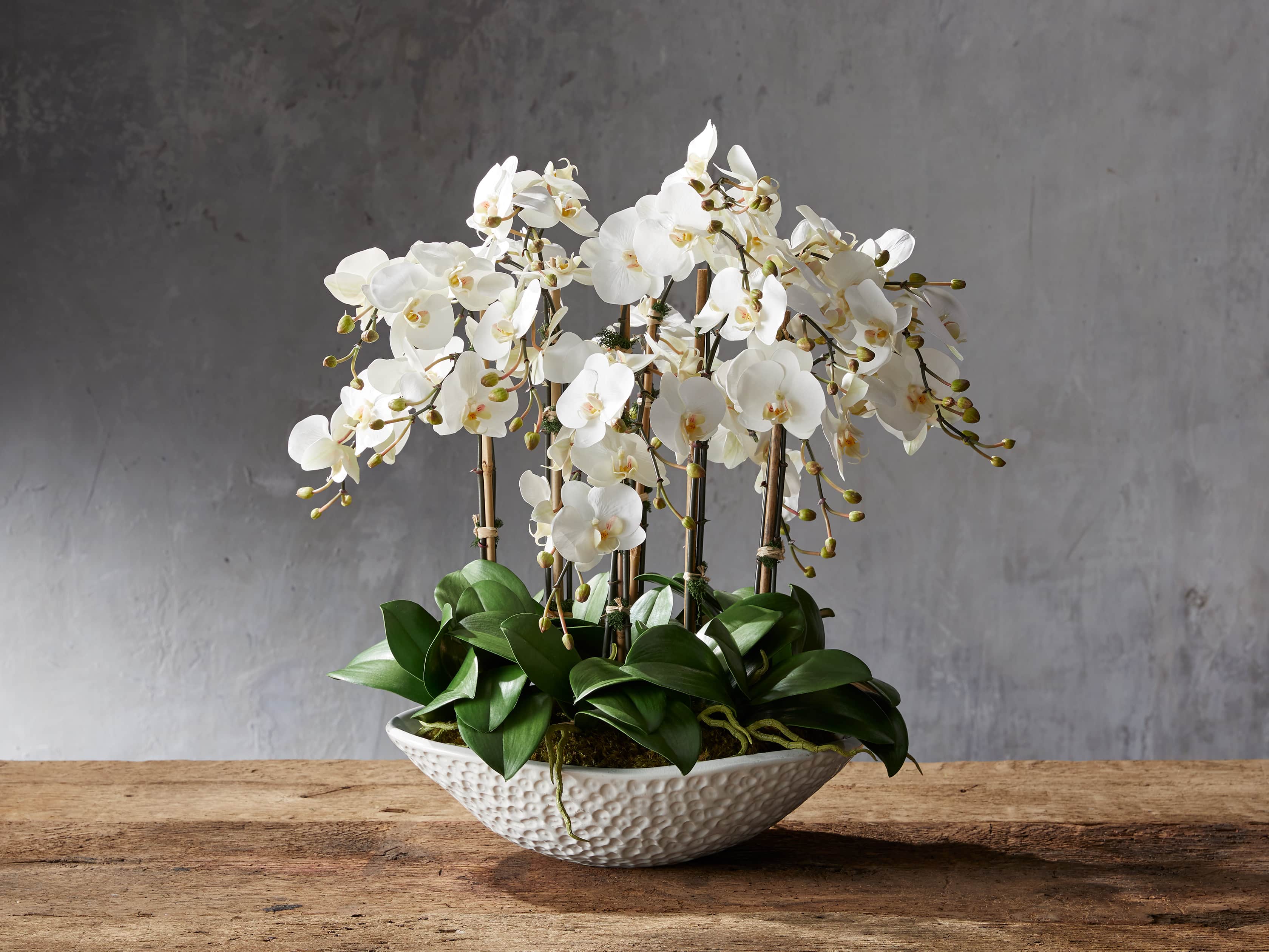 3198-faux-white-orchids-in-white-painted-bowl-1.jpg