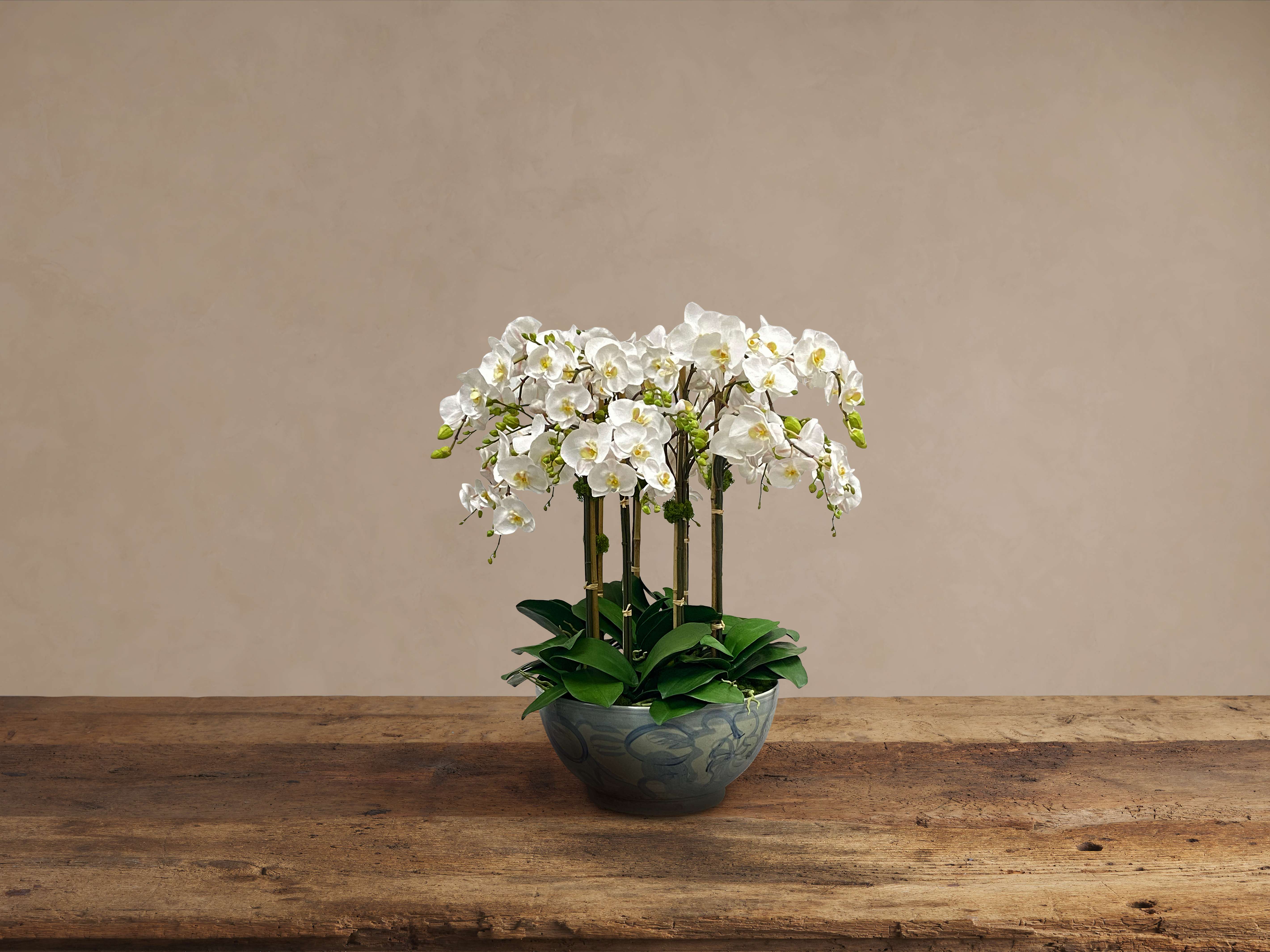 Faux White Orchids in Painted Bowl
