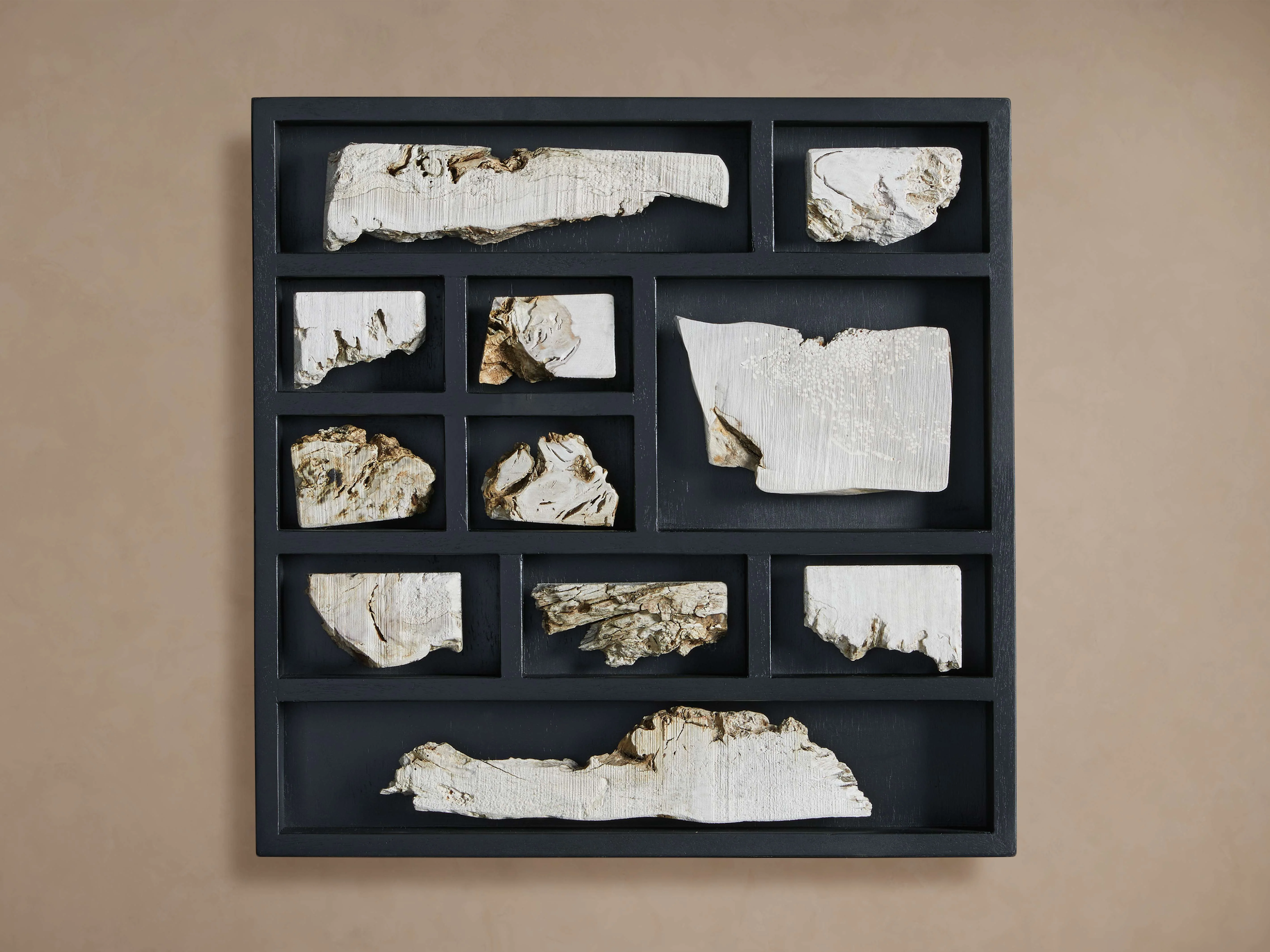 Burl Sections II Wall Art
