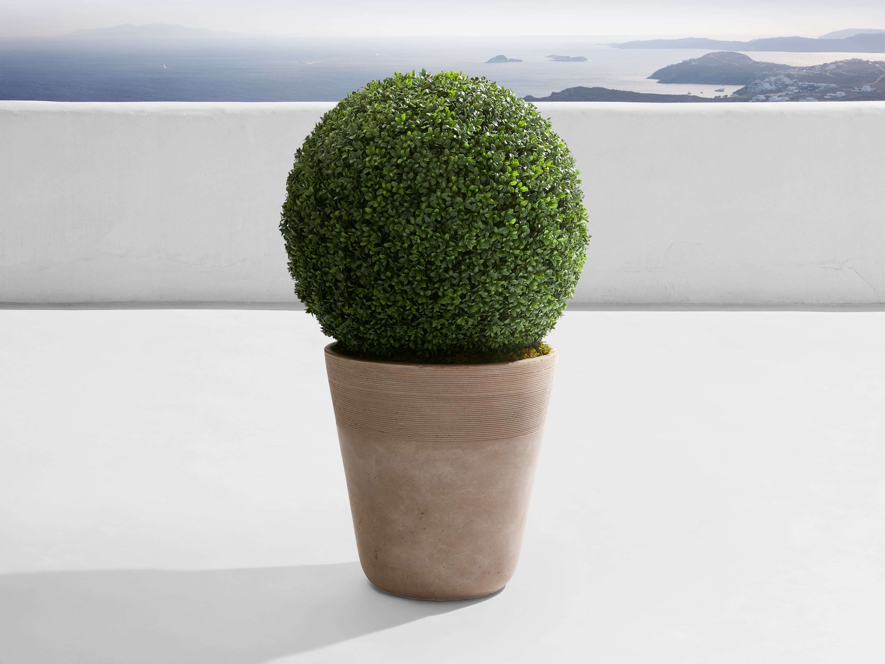 Boxwood Ribbed Planter