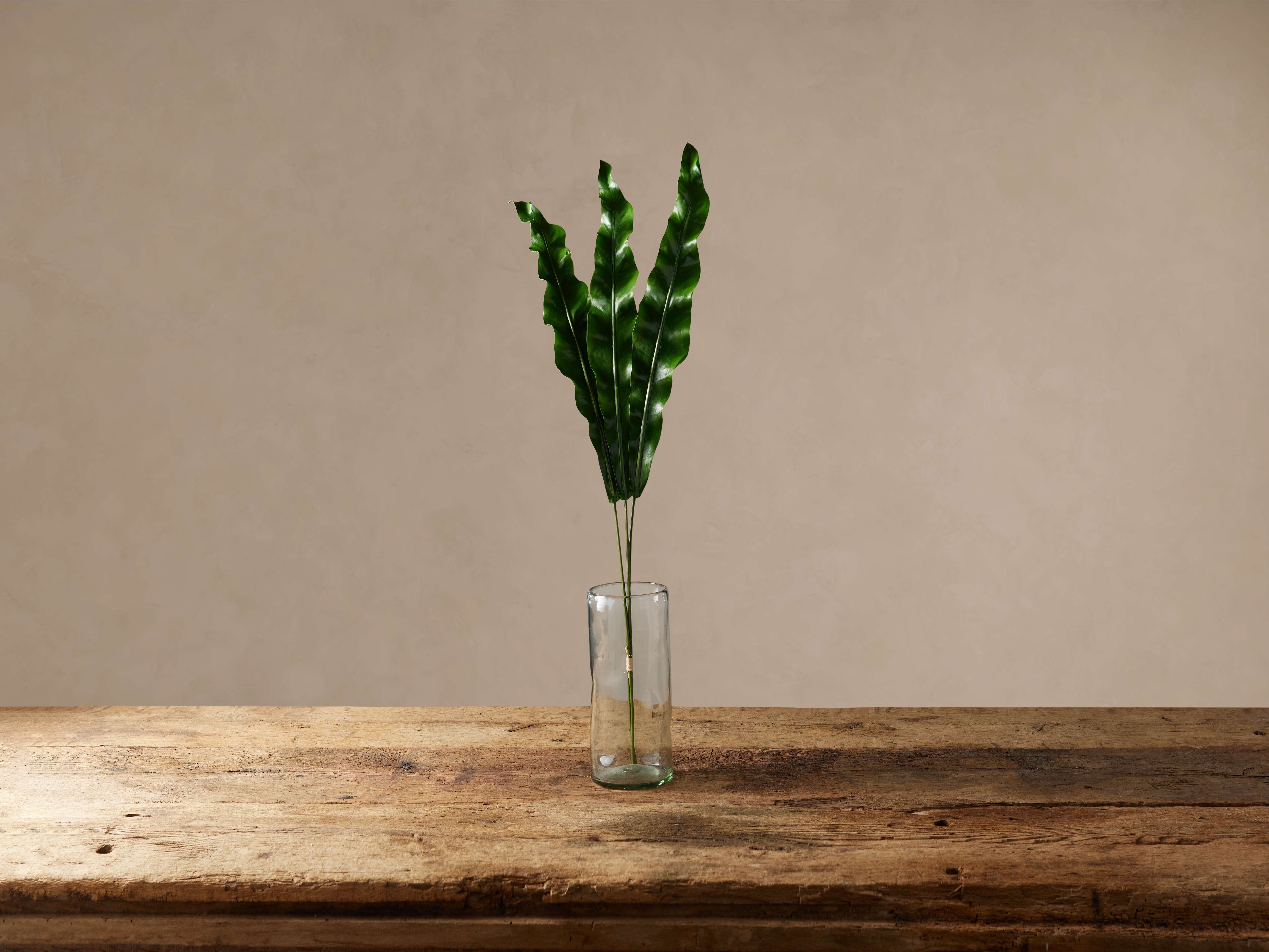 Faux Bird's Nest Fern Frond