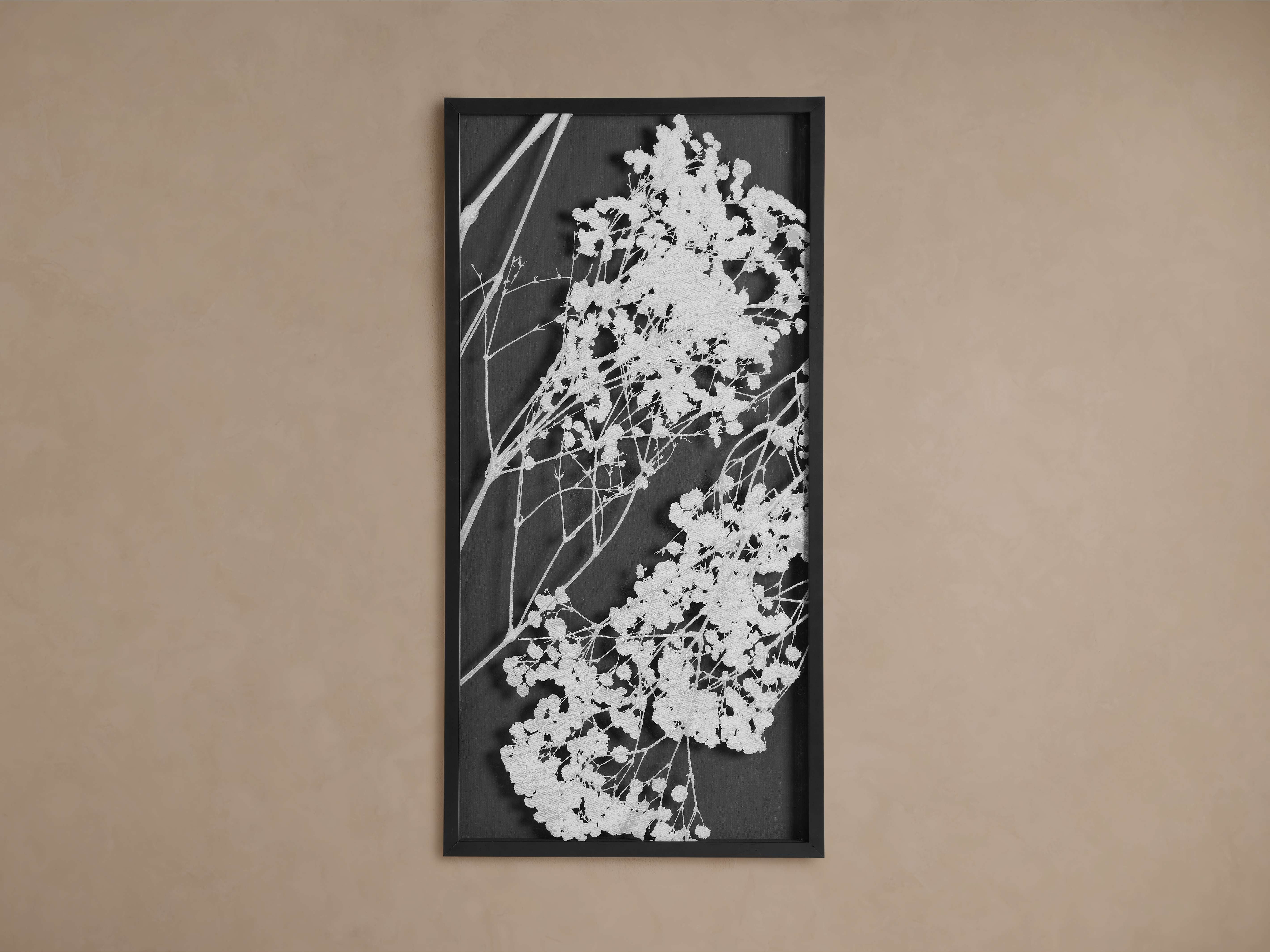 Baby's Breath II Framed Print