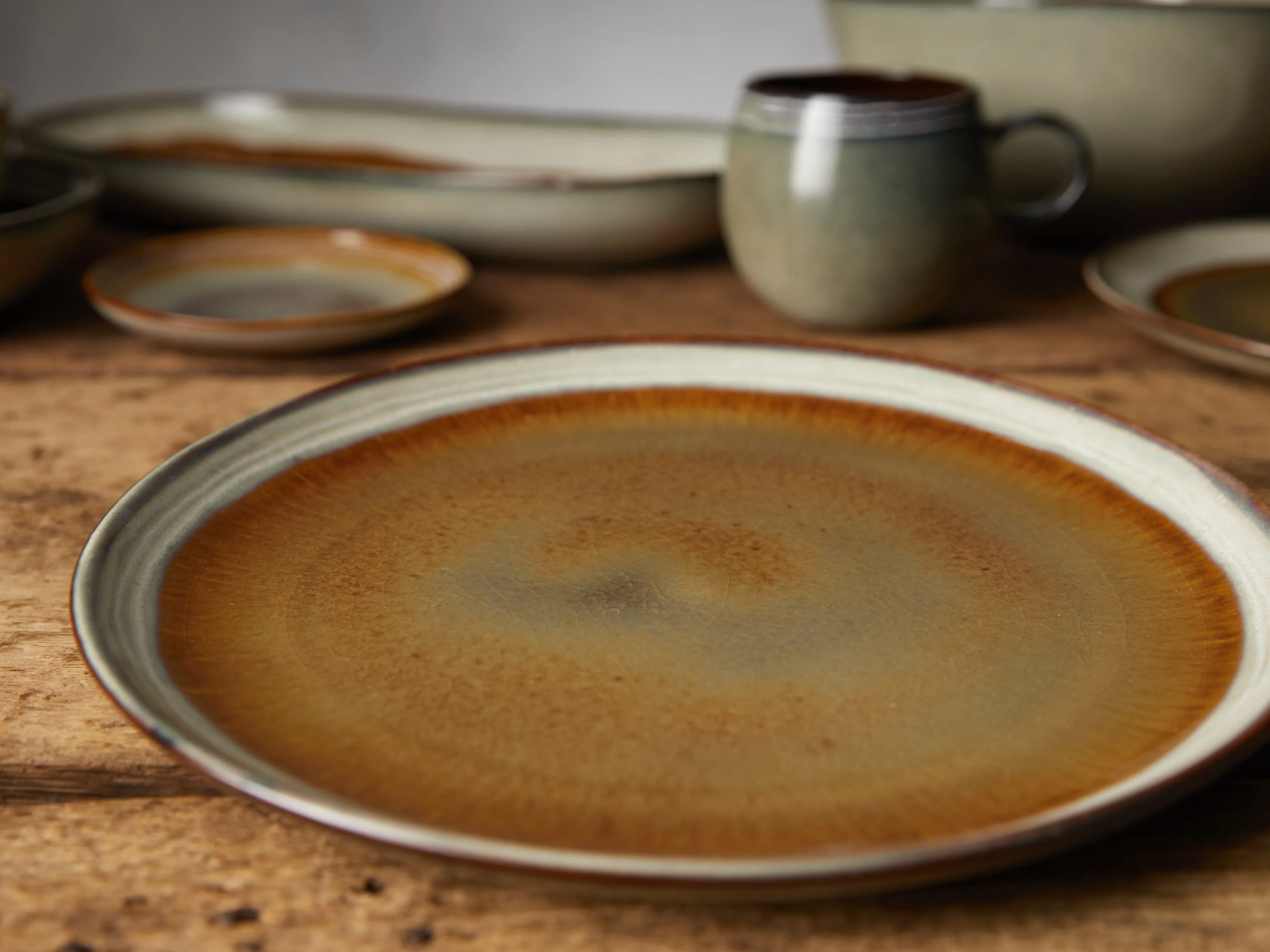 Canyon Dinner Plates (Set of 4)