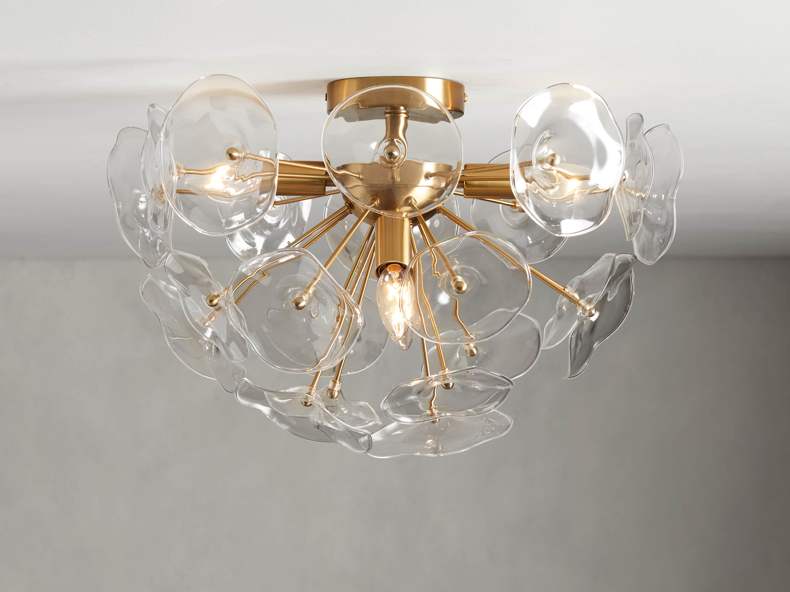 5197-lily-flush-mount-1.jpg
