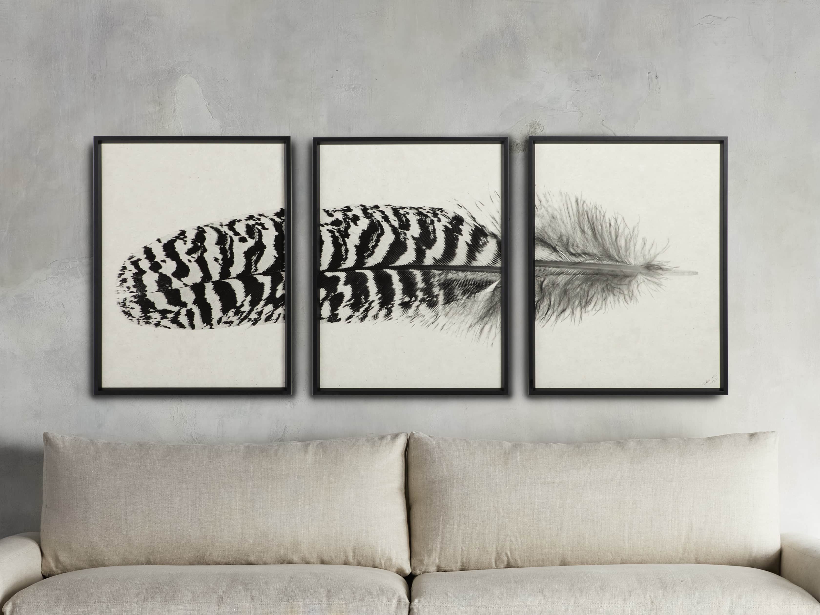 591-peacock-feather-framed-print-set-of-3–1.jpg