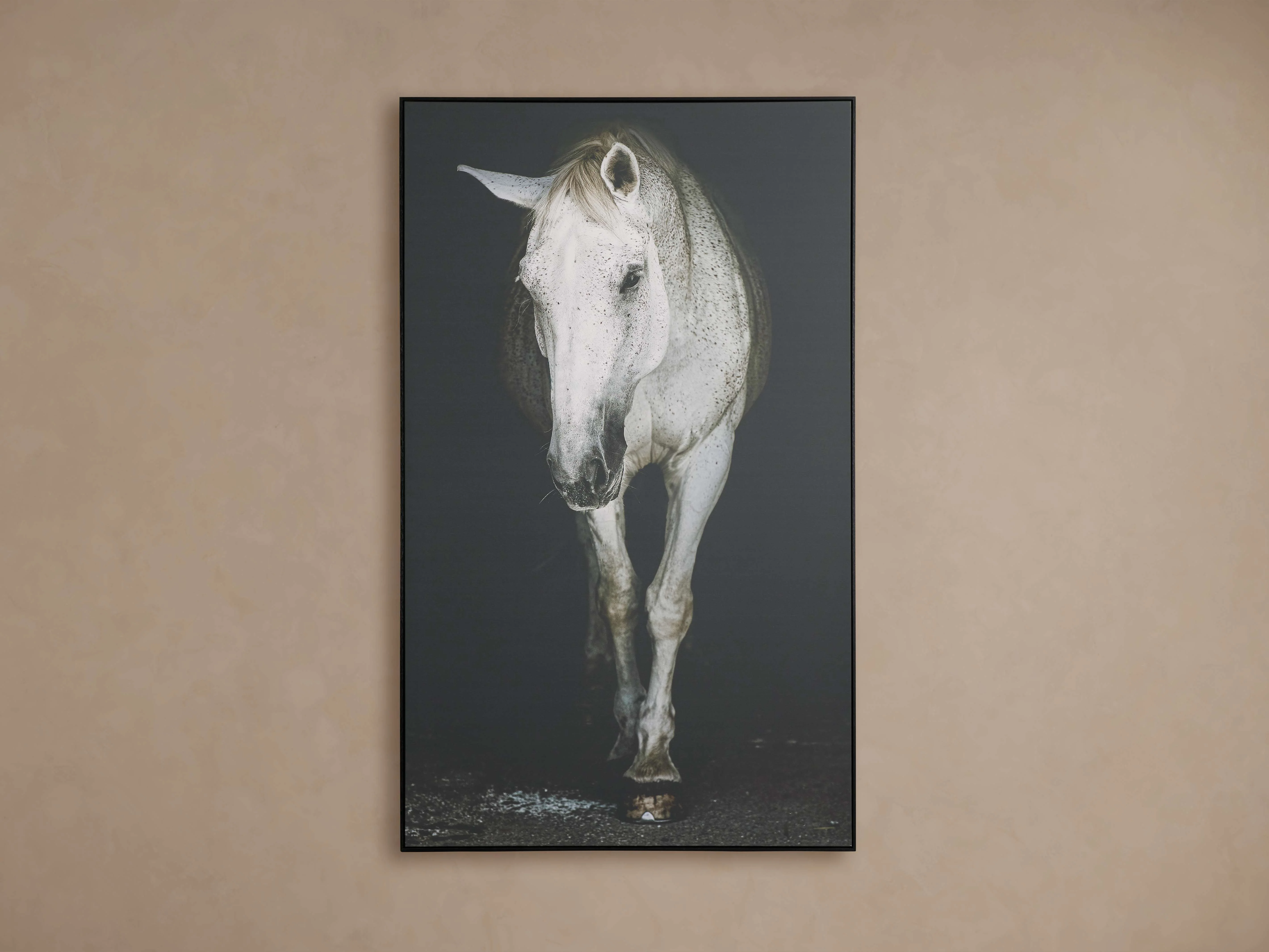 Lara Framed Print
