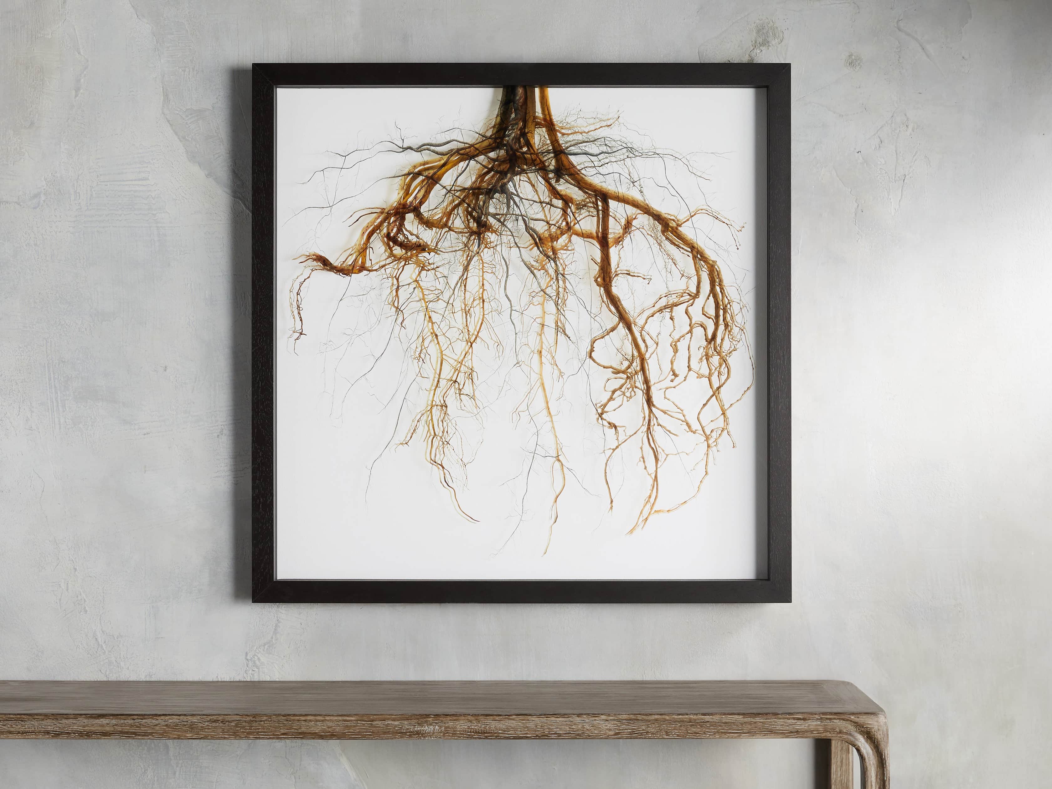 Roots Framed Print 1 909-roots-framed-print-1.jpg